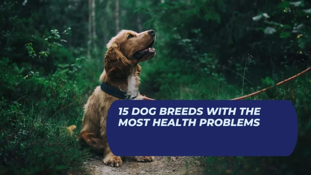 15 Dog Breeds with the Most Health Problems