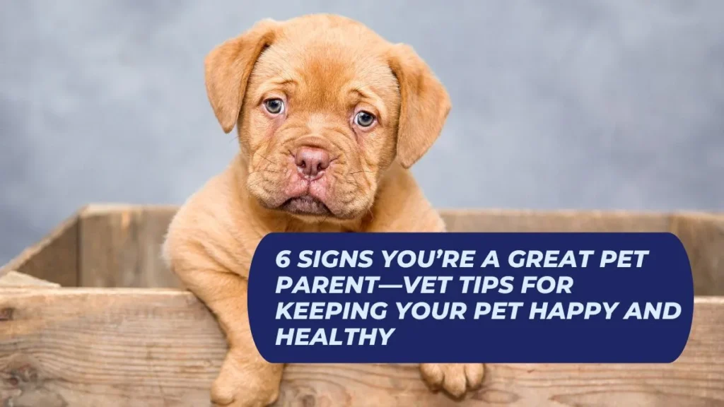 6 Signs You’re a Great Pet Parent—Vet Tips for Keeping Your Pet Happy and Healthy