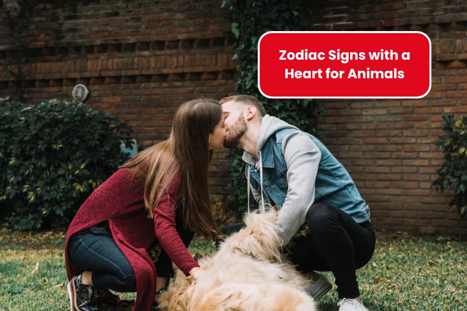 Top 3 Zodiac Signs with a Heart for Animals