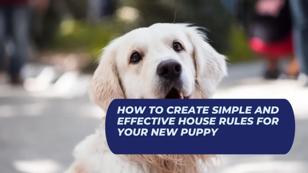 How to Create Simple and Effective House Rules for Your New Puppy