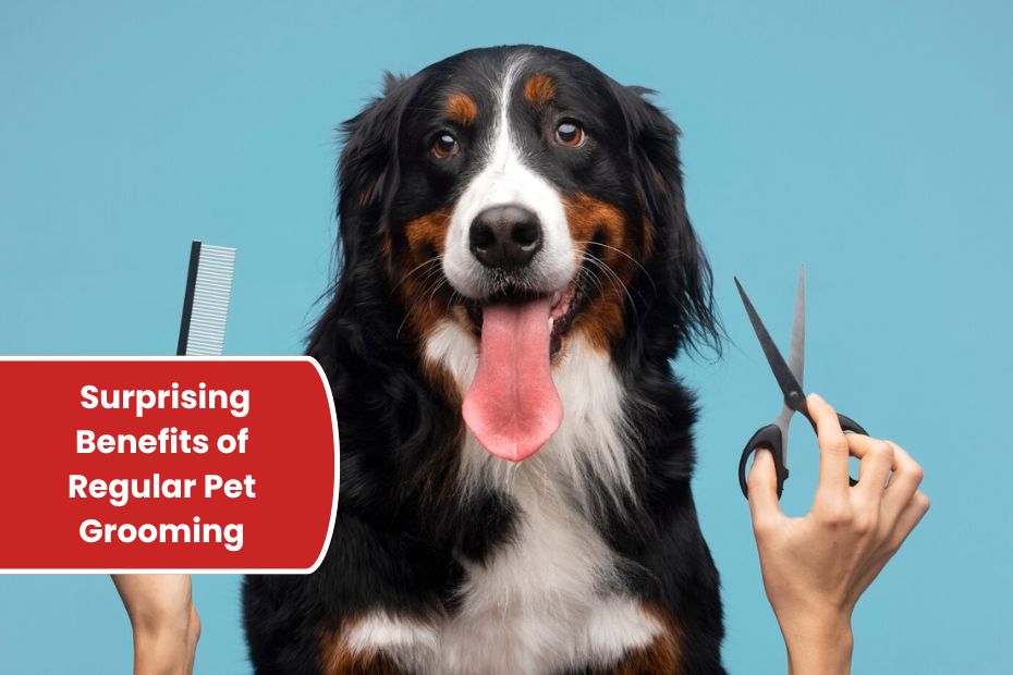 Pampered Paws: Unlock the Surprising Benefits of Regular Pet Grooming