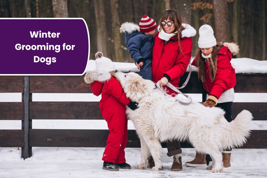 Winter Grooming for Dogs: How to Keep Your Pup Stylish and Warm This Season
