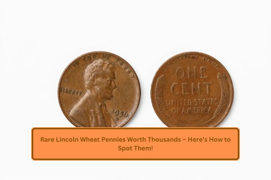 Rare Lincoln Wheat Pennies Worth Thousands – Here’s How to Spot Them!