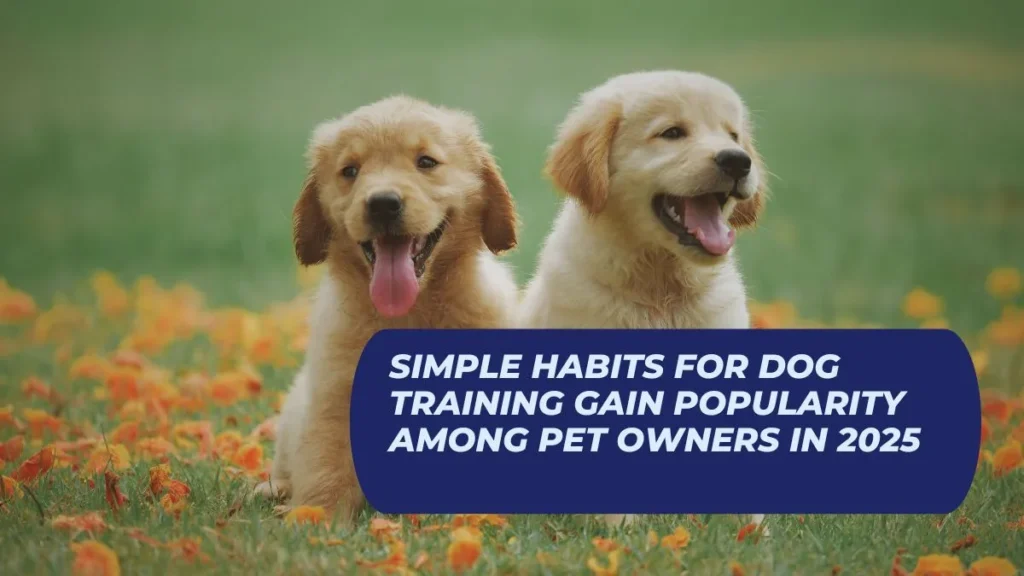 Simple Habits for Dog Training Gain Popularity Among Pet Owners in 2025